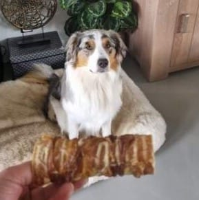 Hond met luchtpijp VK runderluchtpijp met slokdarm
