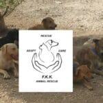 Steun FKK Animal Rescue met een donatie
