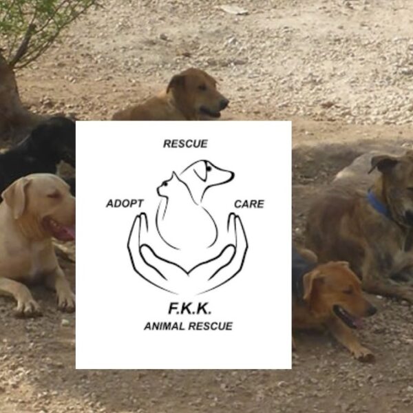 Steun FKK Animal Rescue met een donatie