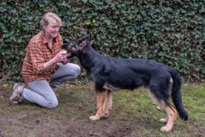 Blog 40 Hondencoach Deventer