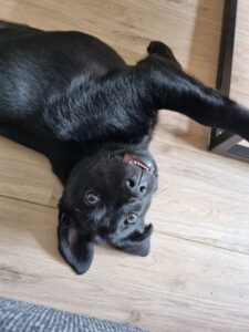 WhatsApp Image 2023 05 22 at 13.37.12