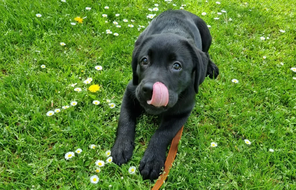 WhatsApp Image 2023 05 22 at 13.37.13