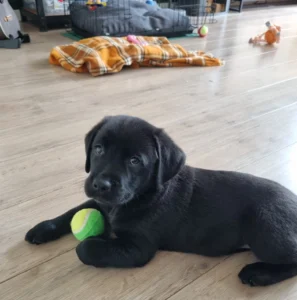 WhatsApp Image 2023 05 22 at 13.41.29 1