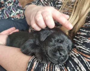 WhatsApp Image 2023 05 22 at 13.41.29