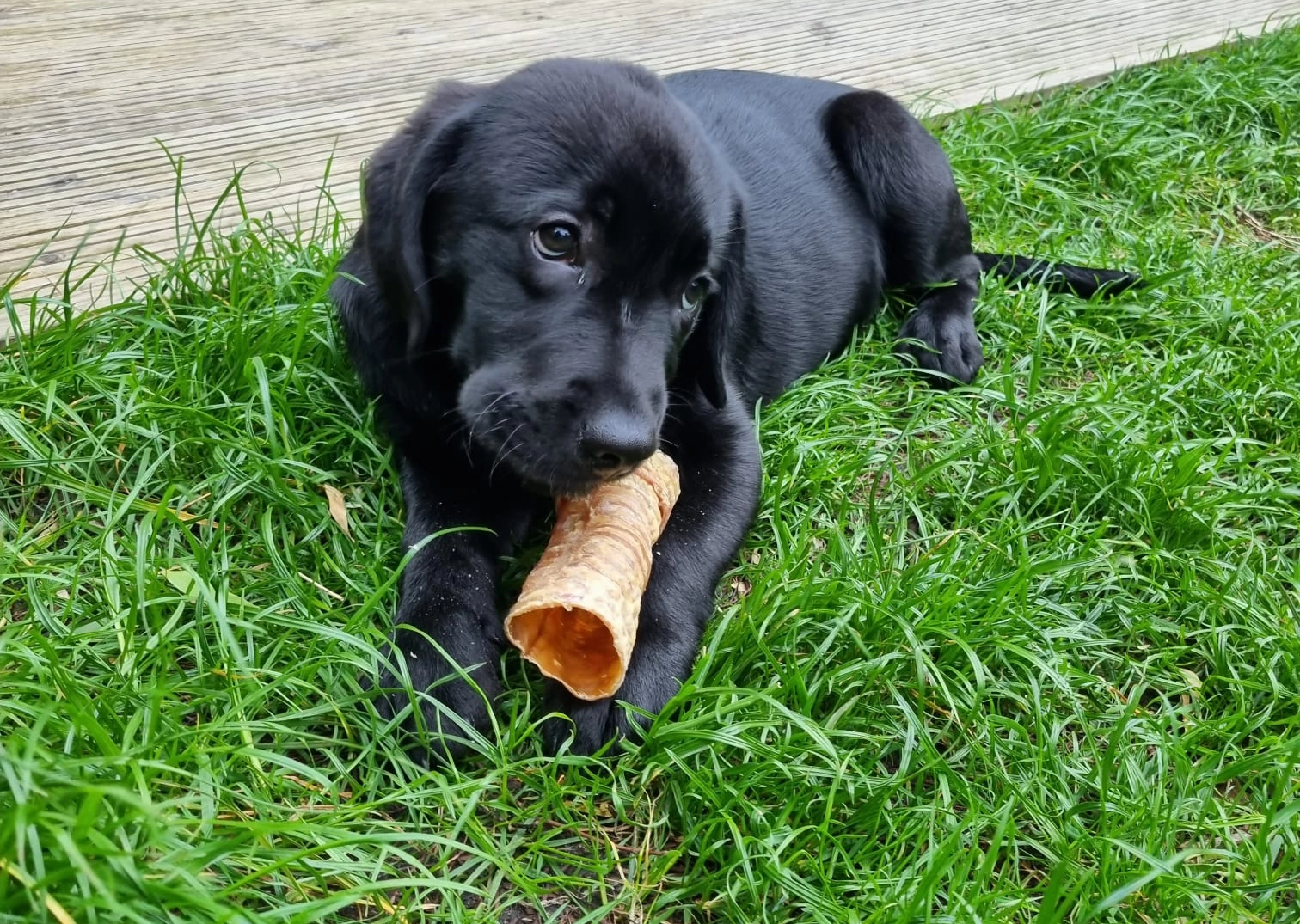 WhatsApp Image 2023 05 22 at 17.10.28