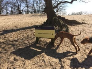 Blog 36 Losloopgebieden voor honden Drunense Duinen