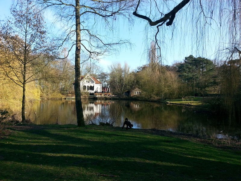 Losloopgebied voor honden Flevopark