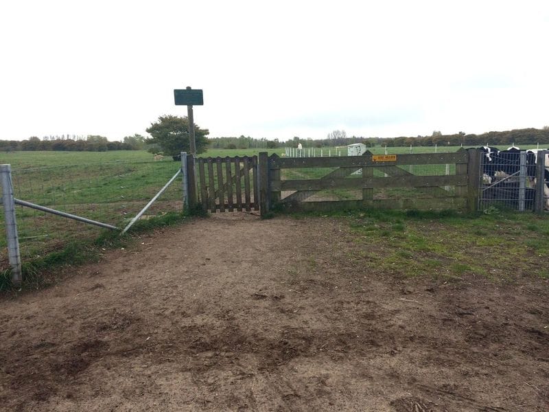  't Harde losloopgebied voor honden