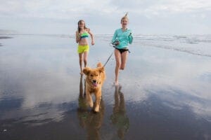 Blog 34 Hondenoppas zomervakantie