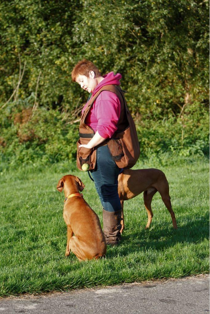 Maandelijks hondenverhaal: Evelien over haar Hondenschool de Hondentaal 1 Hondenschool de Hondentaal